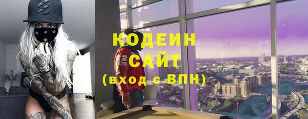 гидра Арсеньев