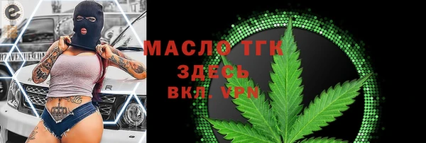 гидра Арсеньев