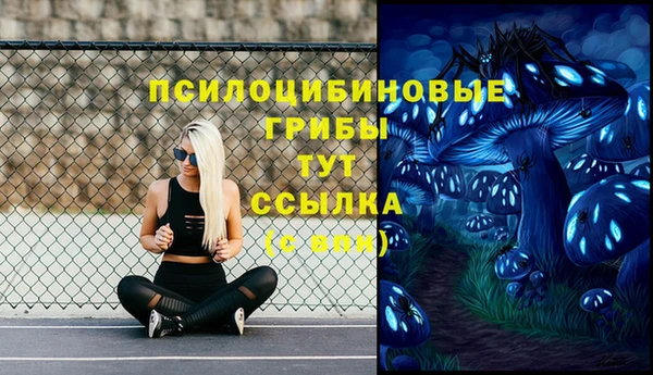 ALPHA-PVP Аркадак