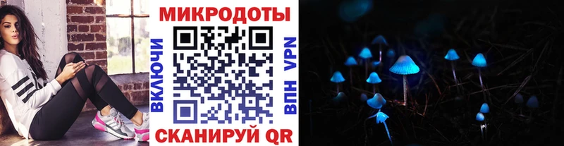 Псилоцибиновые грибы Psilocybe  Пучеж 